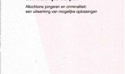 Een kleurrijke aanpak. Allochtone jongeren en criminaliteit: een uitwerking van mogelijke oplossingen – Een kleurrijke aanpak. Allochtone jongeren en criminaliteit: een uitwerking van mogelijke oplossingen
