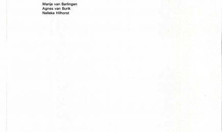 Evaluatie Nationaal Jeugddebat 1996 – Evaluatie Nationaal Jeugddebat 1996