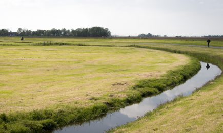 Welzijn en zorg in De Weere