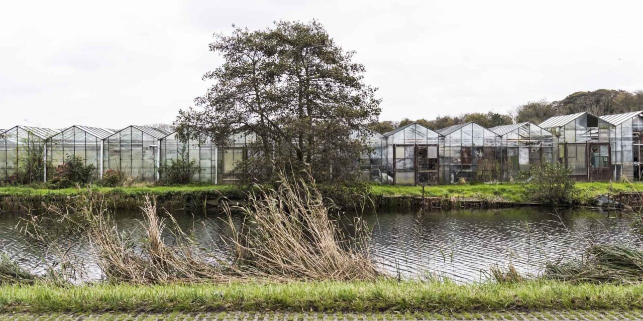 Arbeidsmigranten Noord-Brabant
