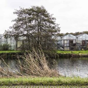 Arbeidsmigranten Noord-Brabant
