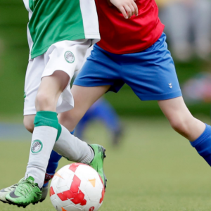 Training Sport en Gedrag