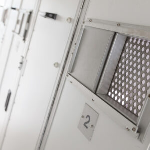 Detentie en terugkeer