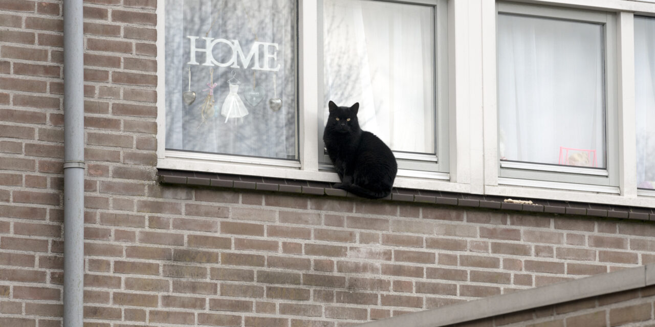 Huisvesting van bijzondere doelgroepen