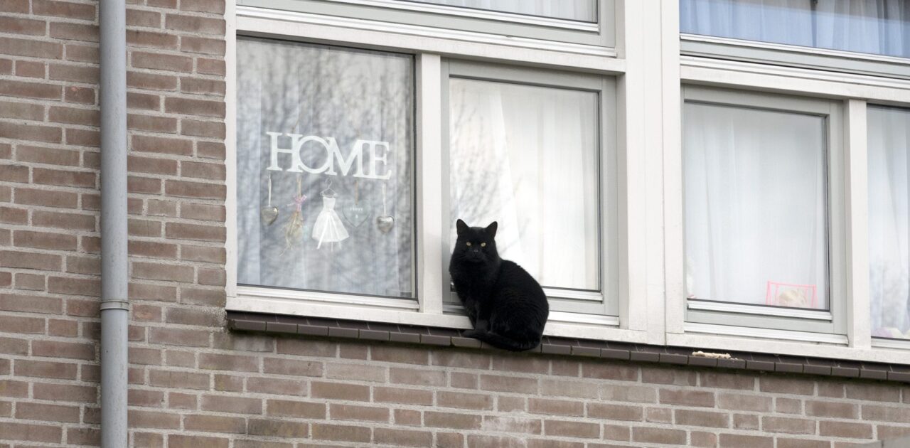 Uitstroom kwetsbare groepen naar een eigen plek