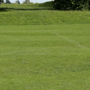 Sport- en beweegvisie Haarlemmermeer